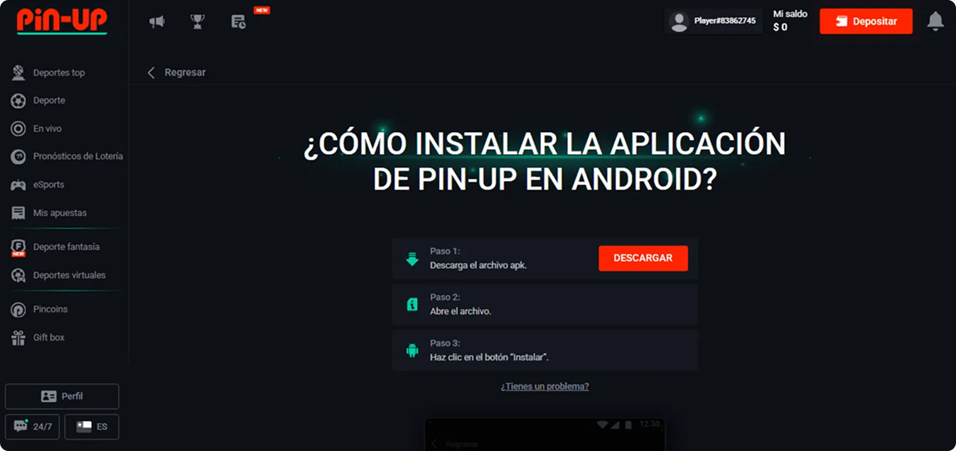 Acceso móvil Pin Up